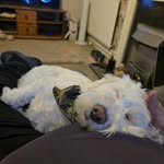 Geoff Johnson - @geoffjohnson48 - Instagram