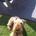 Geoff Knowles - Facebook