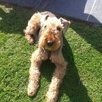 Geoff Knowles - @geoff_knowles - Instagram