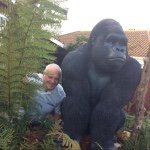 Geoffrey knowles - @gardeningmakesyouhappy - Instagram