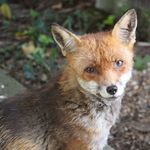 Geoff Long - @geoff.long.12 - Instagram