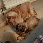 Geoff Mather - Facebook