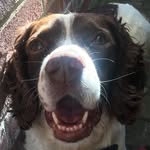 Geoff Mathers - @geoff.mathers - Instagram