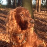 Geoff Mitchell - @geoffm2014 - Instagram