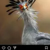 Popjep - @geoffmitchell36 - TikTok