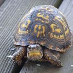 Geoff Murphy - @geoff.murphy.58 - Instagram