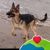 Geoffrey Naylor - @geoffrey.naylor - TikTok