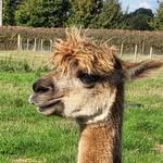 Geoffrey Newell - @newellgeoffrey - Instagram