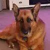 geoffnolan290 - @geoffnolan290 - TikTok