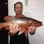Geoff Page - @geoff_page - Instagram