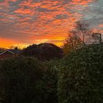Geoff Palmer - @geoffpalmer55 - Instagram