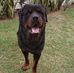 Geoff Parker - Facebook