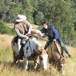 Geoff Parkes - @geoffparkes2 - Instagram