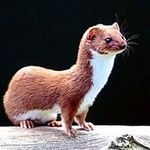 Geoff P - @geoff_parsons_69 - Instagram