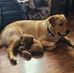 Geoff Parsons - Facebook