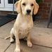 Geoff Parsons - Facebook