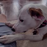 Geoff patton - @geoffpatton4 - Instagram