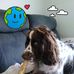 Geoff Bellette - Facebook