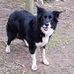 Geoff Pennington - Facebook