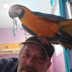 Geoff Perkins - @perkinsgeoff - Instagram