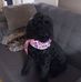 Geoff Perkins - Facebook
