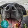 Geoff Peters - @geoff.peters7 - TikTok