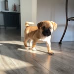 Geoffery Peterson - @geoff.peterson21 - Instagram