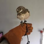 Geoff Poole - @geoff_poole2002 - Instagram