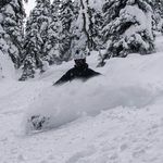 Geoff Pope - @pubbcf67 - Instagram