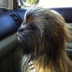@geoffporter - Instagram