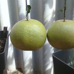 Geoff Pratt - @geoffcpratt - Instagram