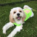 Geoff Robertson - @geoff.robertson.161 - Instagram