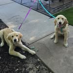 Geoff Robinson - @wichita_railroader - Instagram