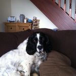 Geoff Saunders - @geoffsaunders4 - Instagram