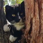 Geoff Barbs Shannon - @geoffbarbs - Instagram