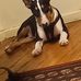 Geoff Ford Sharp - Facebook