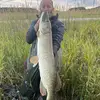 Geoff Sharpe - @geoffsharpe22 - TikTok