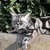 Geoffrey Sharp - @geoffrey.sharp0 - TikTok