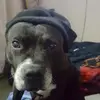 Geoffrey Simms - @geoffrey.simms - TikTok