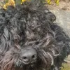 Geoff Stephens - @geoff.stephens - TikTok