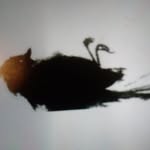 Geoff Thompson - @geoffthompson06 - Instagram
