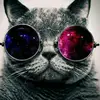 Elliott Vincent - @geoffvincent - TikTok