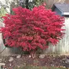 Geoff Vincent - @geoff.vincent - TikTok