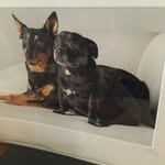 Geoff Vincent - @geoffreyv1973 - Instagram