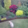 geoffvincent509 - @geoffvincent509 - TikTok