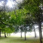 geoffrey waring - @waringgeoffrey - Instagram