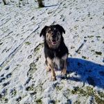 Geoff Warner - @warner.geoff - Instagram