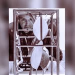 Geoff Warwick - @geoffwarwick - Instagram