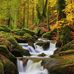 Geoff Watkins - Facebook