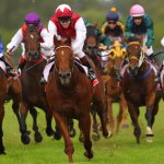 Geoff Weaver - @winninghorsetips - Instagram